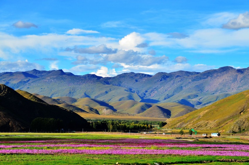 稻城風(fēng)光。稻城縣委宣傳部供圖