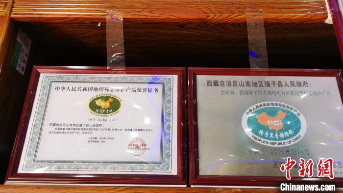 圖為2015年，隆子黑青稞成為中國國家地理標(biāo)志保護(hù)產(chǎn)品?！垈?攝