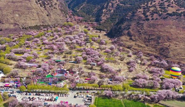 世外桃源！一組圖告訴你，西藏林芝桃花能有多美