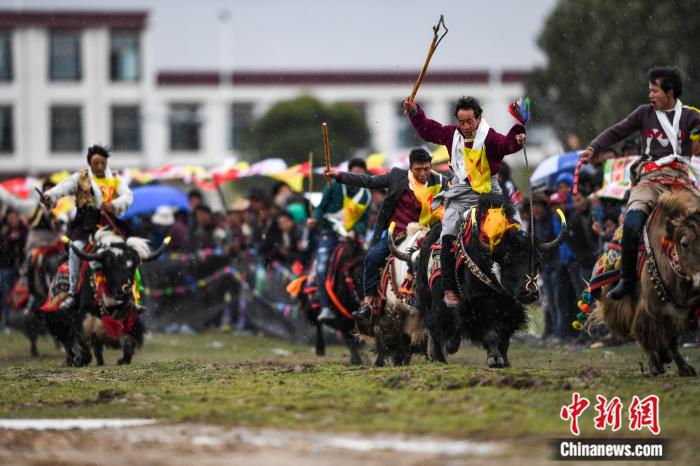 圖為拉薩郊縣的賽馬節(jié)(資料圖)。何蓬磊 攝