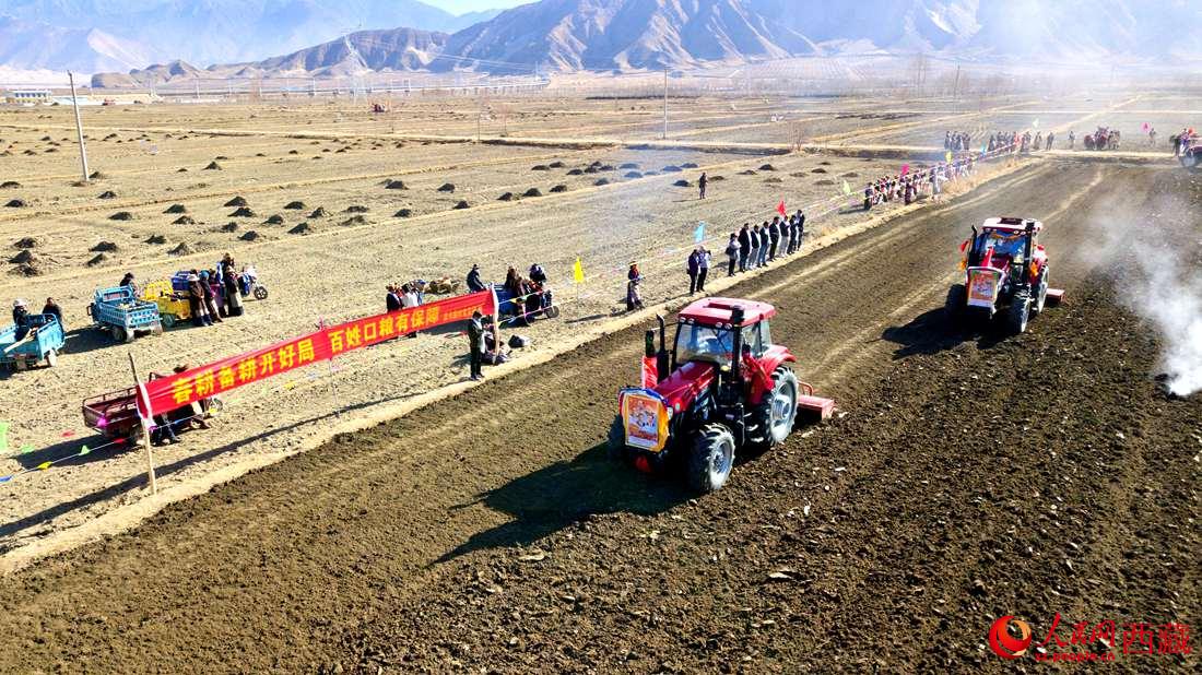 山南市扎囊縣扎其鄉(xiāng)孟卡榮村迎來春耕第一犁。人民網(wǎng) 次仁羅布攝