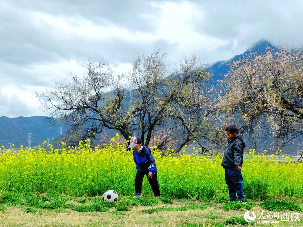 孩童在桃花下嬉戲。人民網(wǎng) 李海霞攝