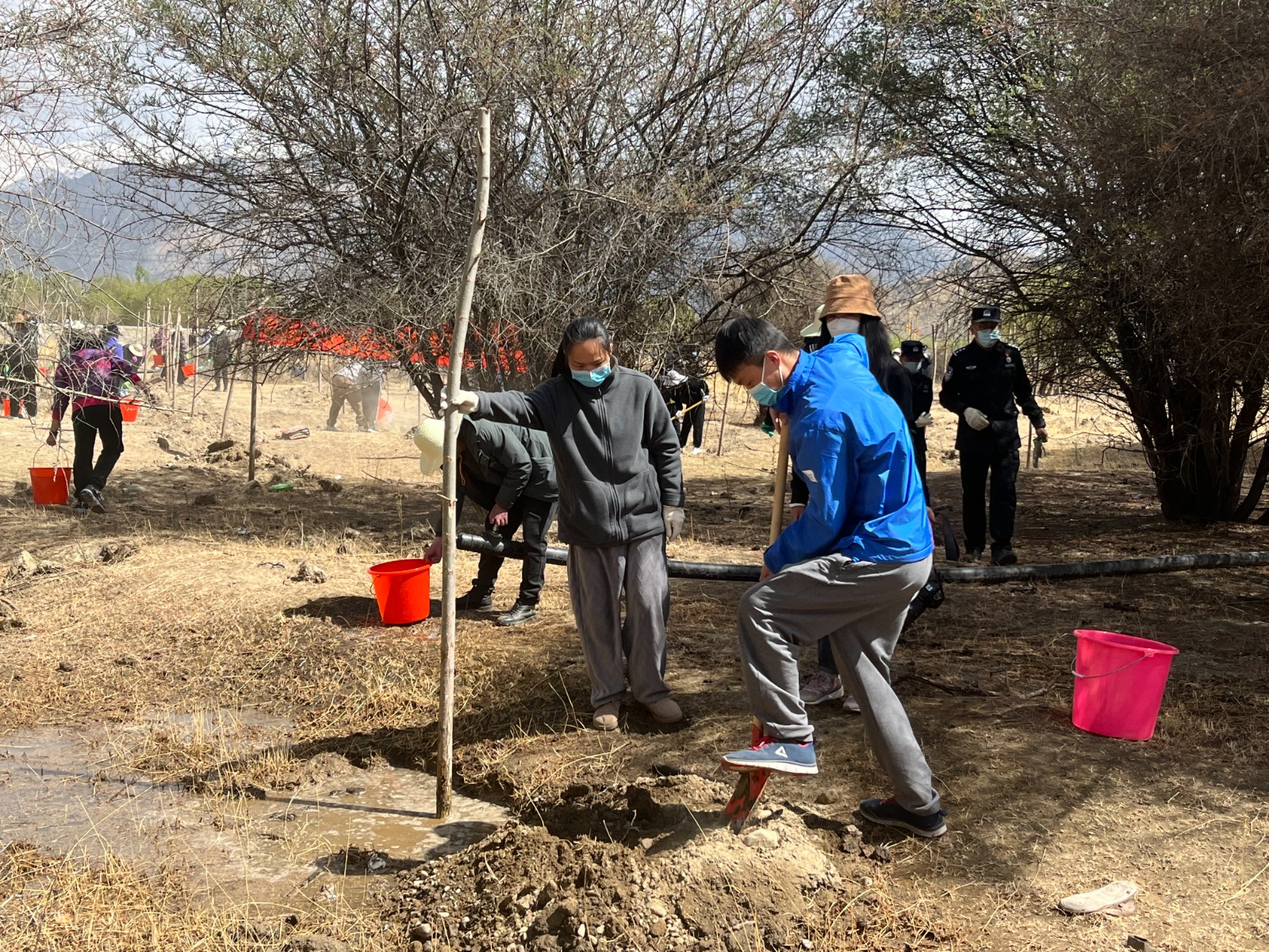 植樹現(xiàn)場(chǎng)，大家分工明確，配合默契(2000565)-20220420090303.jpg