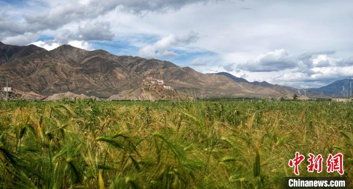 西藏啟動G219紅色印記探線活動