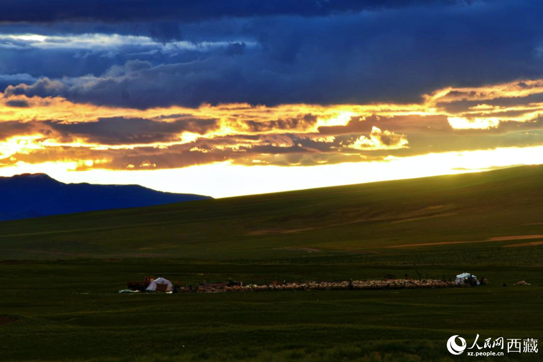 黃昏下的帳篷，牧民過著幸福生活。 人民網(wǎng) 李海霞攝