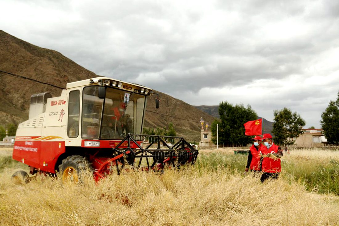陣陣機(jī)械的轟鳴聲傳來豐收的喜悅。洛克攝