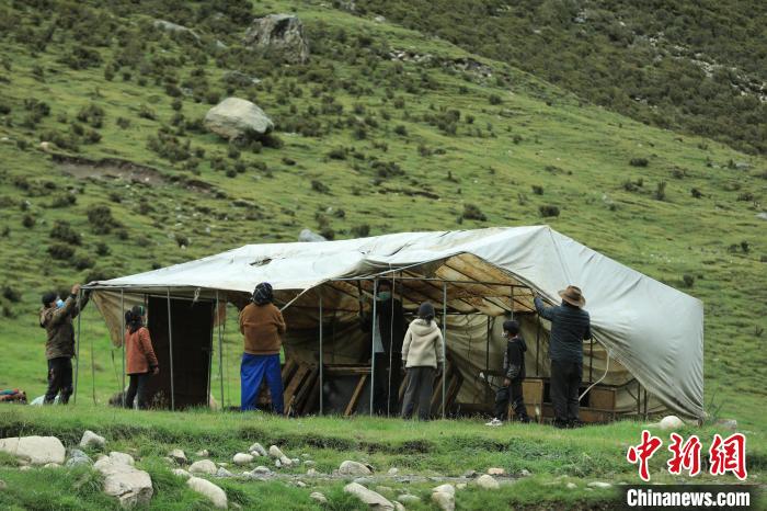 圖為牧民們在秋季牧場搭建帳篷。　洛克 攝