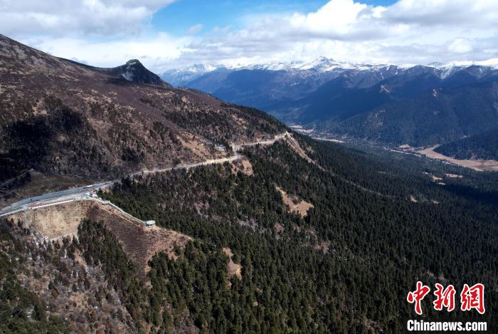 2月17日，西藏林芝魯朗林海。(無(wú)人機(jī)照片) 李林 攝