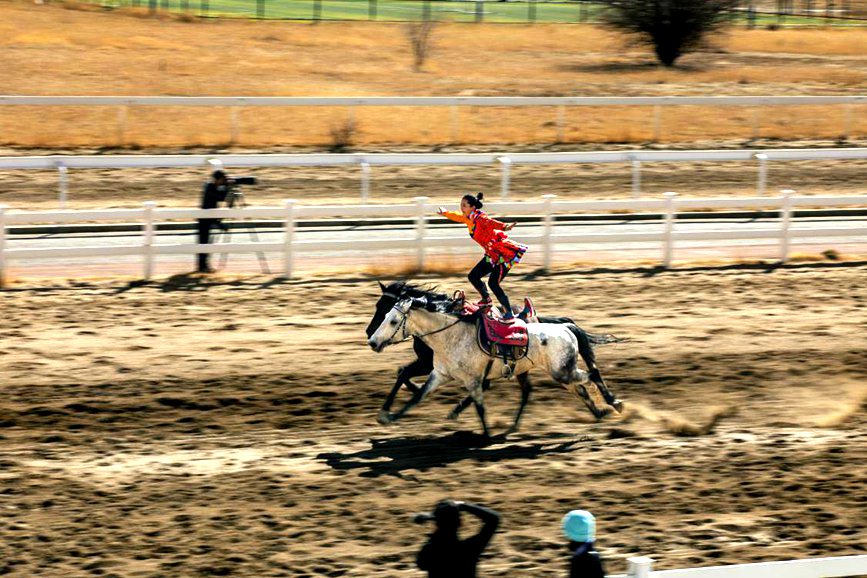 藏歷新年，精彩的馬術(shù)表演。張靜攝