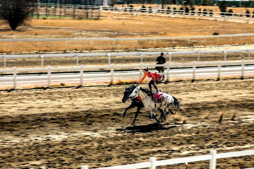 藏歷新年，精彩的馬術(shù)表演。張靜攝