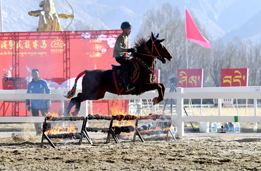 藏歷新年，精彩的馬術(shù)表演。潘多攝