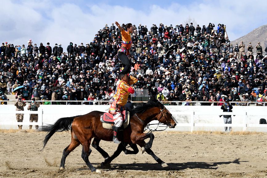 藏歷新年，精彩的馬術(shù)表演。潘多攝