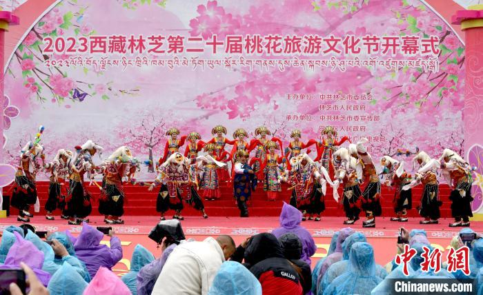 3月28日，西藏林芝第二十屆桃花旅游文化節(jié)開幕式上的文藝表演。　李林 攝