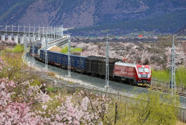 人間桃花源！林芝桃花有多絕？