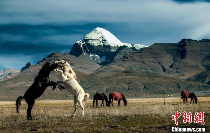 圖為參展攝影師拍攝的西藏阿里岡仁波齊?！≈鬓k方 供圖