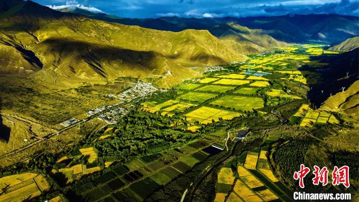 圖為山南雍布拉康附近農(nóng)田。　張巍 攝