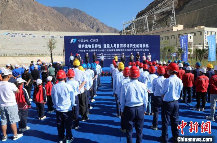 圖為蘇洼龍水電站魚類放流現(xiàn)場?！√K洼龍水電站供圖