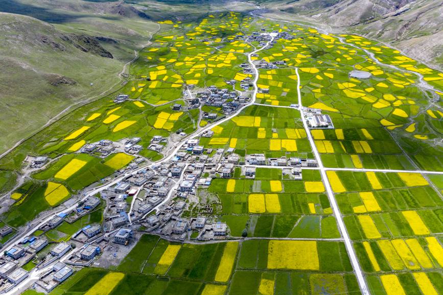 航拍道布龍村，依山傍水，阡陌縱橫。