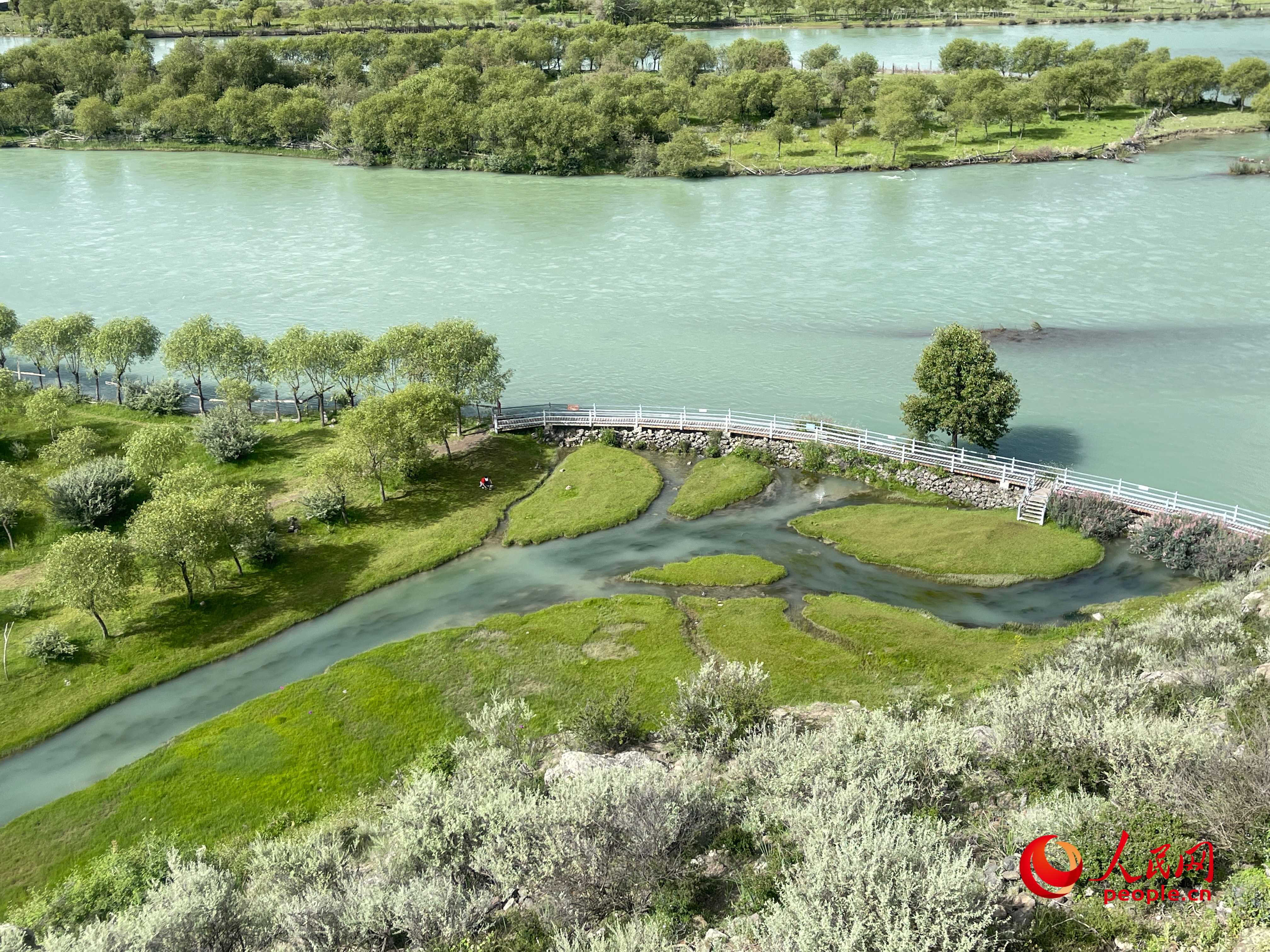 夏日的雅尼國家濕地公園生機(jī)盎然，如詩如畫。人民網(wǎng) 周靜圓攝