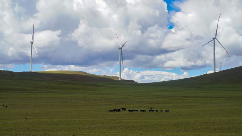 西藏措美哲古風(fēng)電場首批3.6兆瓦風(fēng)電機(jī)組并網(wǎng)發(fā)電。受訪者供圖