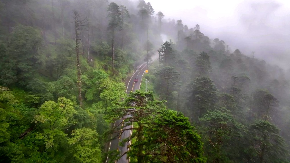穿行于綠色間。張澤坤攝