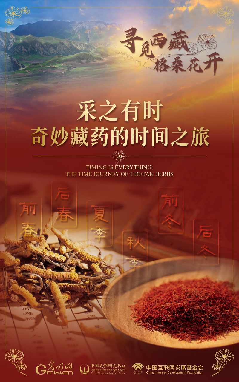 【尋覓西藏·格?;ㄩ_(kāi)】采之有時(shí):奇妙藏藥的時(shí)間之旅