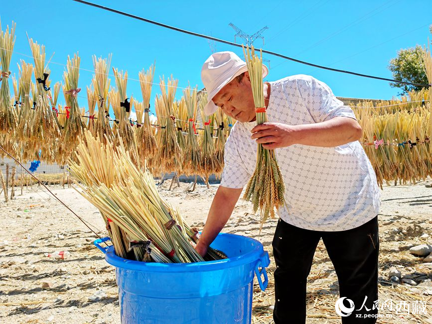 幸福生活曬出來。人民網(wǎng) 李海霞攝