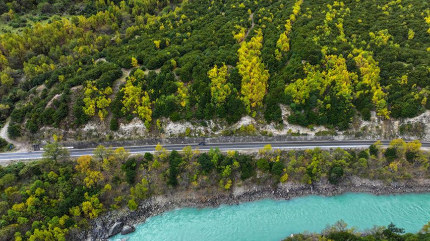 去往墨脫的路上，秋色正明。張澤坤攝