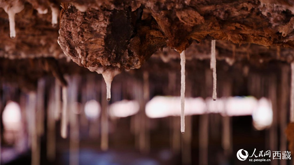 自然滲下的鹽柱結(jié)晶。人民網(wǎng)記者 次仁羅布攝