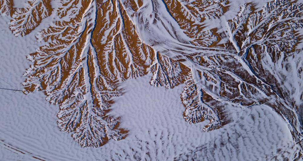 栩栩如生的枝干。邊巴多吉攝