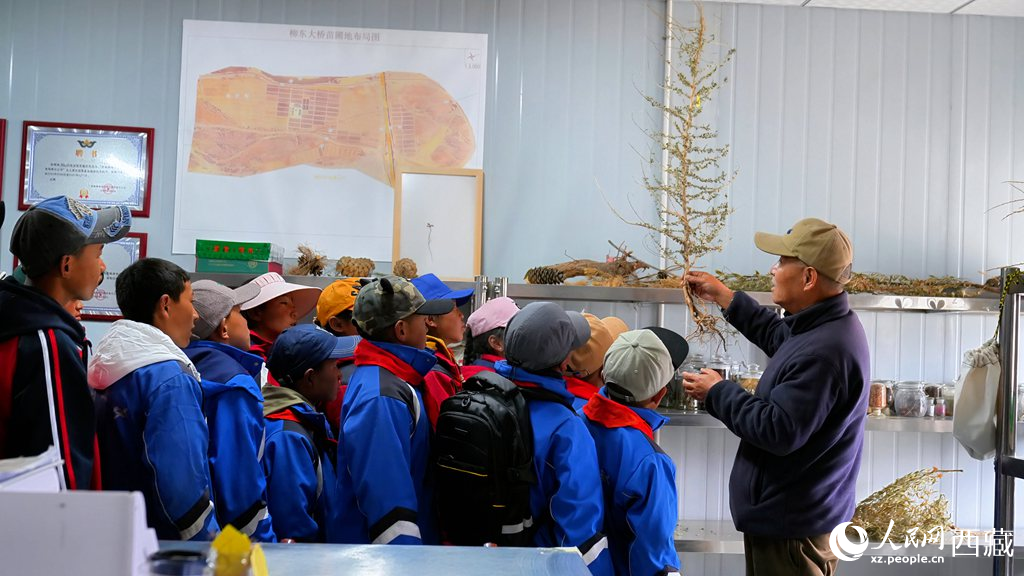 西藏定日：思政課“搬”進(jìn)育苗基地【3】