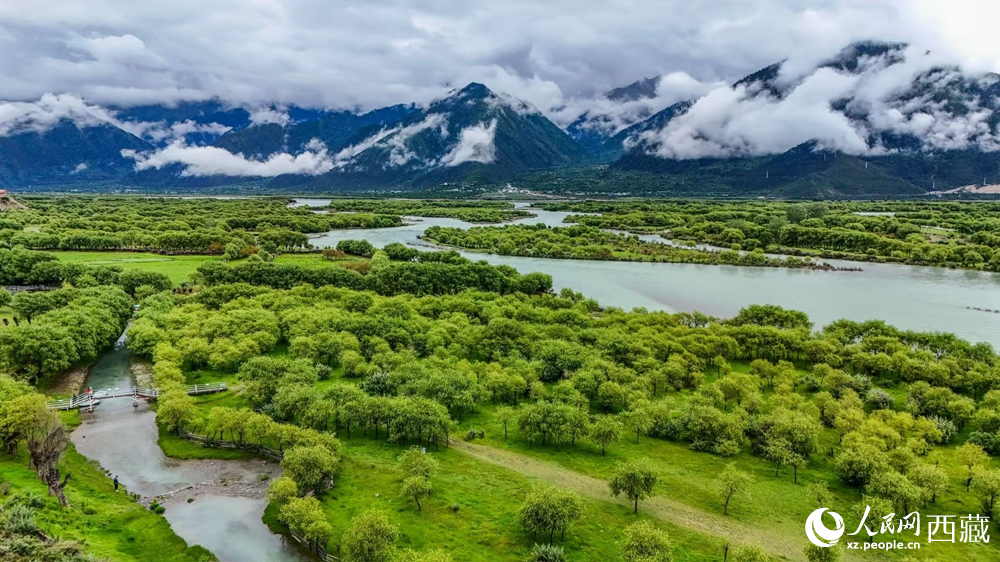 鳥瞰盛夏季節(jié)的雅尼濕地風(fēng)光。人民網(wǎng)記者 次仁羅布攝