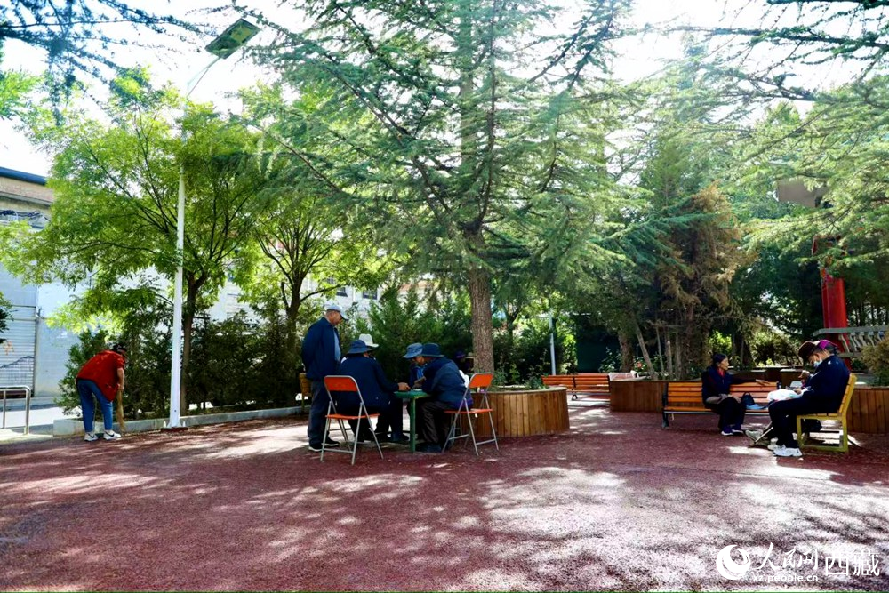 老人們在綠樹成蔭的“社區(qū)會客廳”中對弈休憩。人民網(wǎng)記者 次仁羅布攝