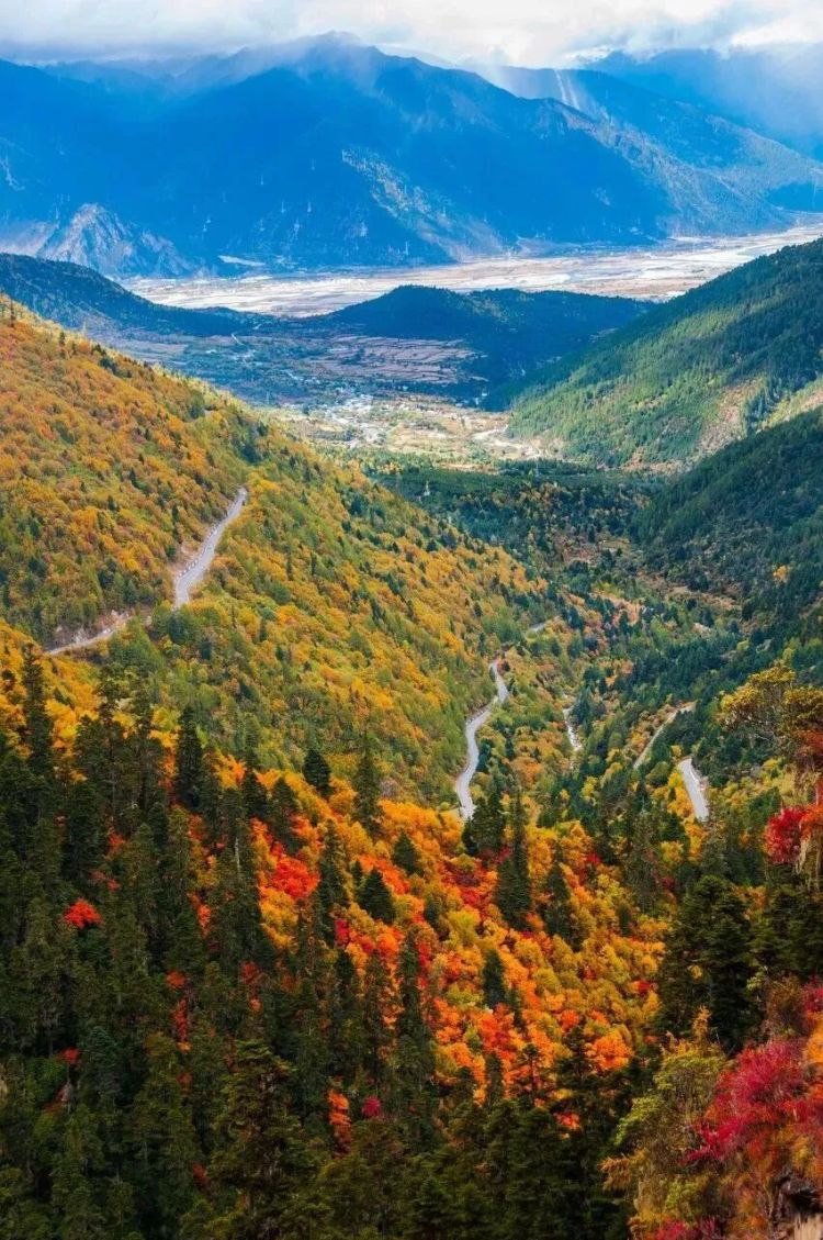 懂西藏的人，一定不會錯過林芝的秋天