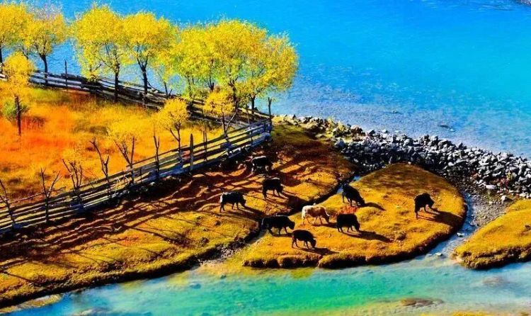 懂西藏的人，一定不會錯過林芝的秋天