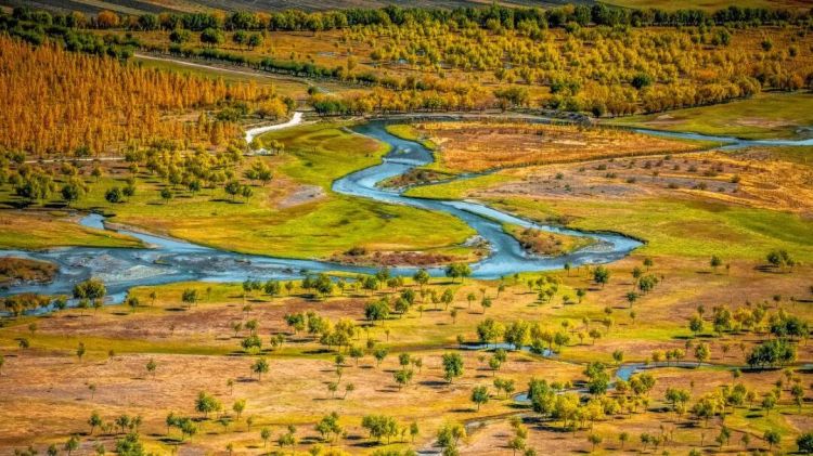 懂西藏的人，一定不會錯過林芝的秋天