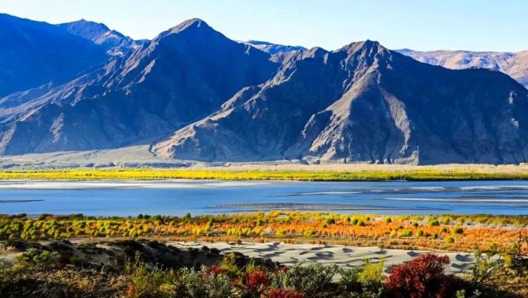 懂西藏的人，一定不會錯過林芝的秋天