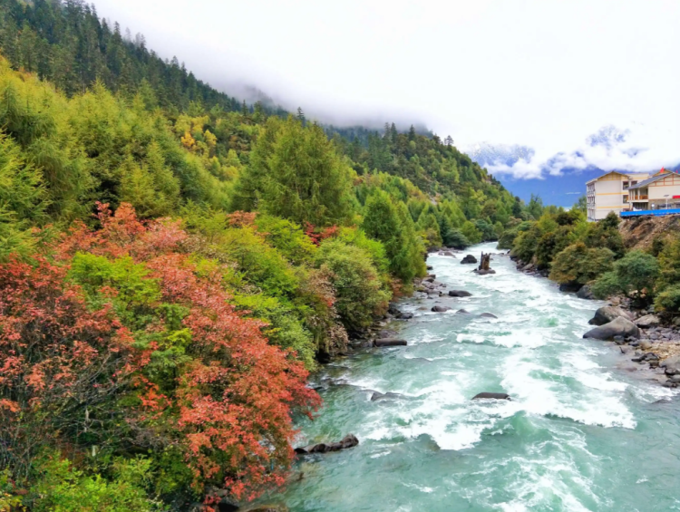 懂西藏的人，一定不會錯過林芝的秋天