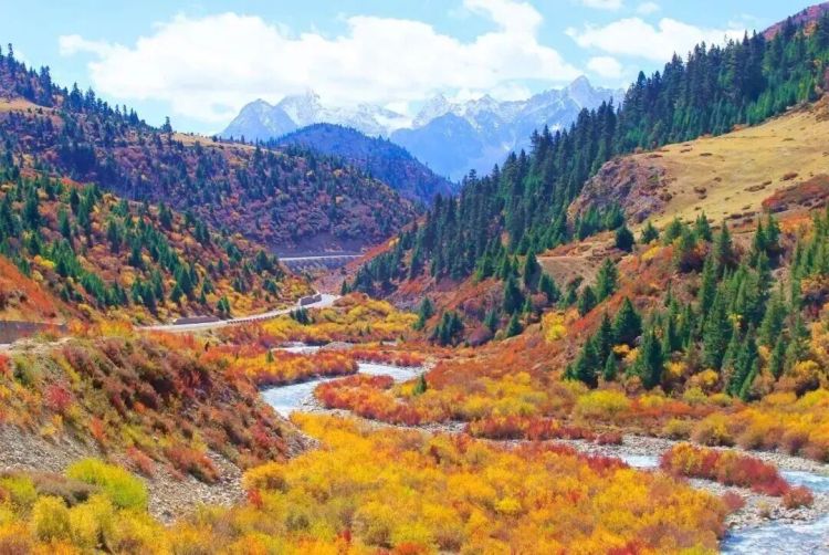 懂西藏的人，一定不會錯過林芝的秋天