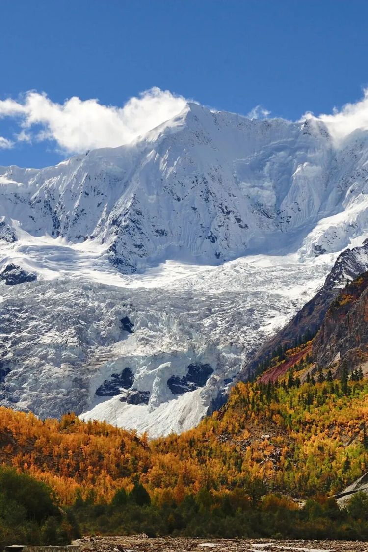 懂西藏的人，一定不會錯過林芝的秋天