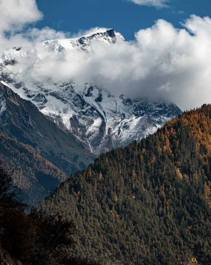 懂西藏的人，一定不會錯過林芝的秋天