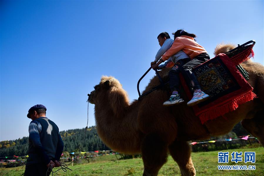 （全面建成小康社會(huì)“百城千縣萬村調(diào)研行”·圖文互動(dòng)）（7）青?？柎澹骸肮夤鞔濉钡娜A麗轉(zhuǎn)身