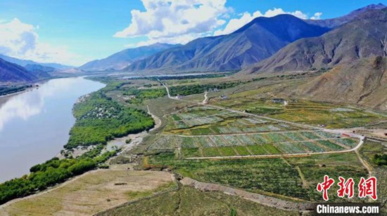 圖為桑日縣葡萄種植基地。　山南桑日縣委宣傳部提供