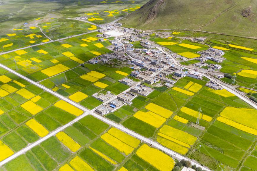 航拍道布龍村，依山傍水，阡陌縱橫。