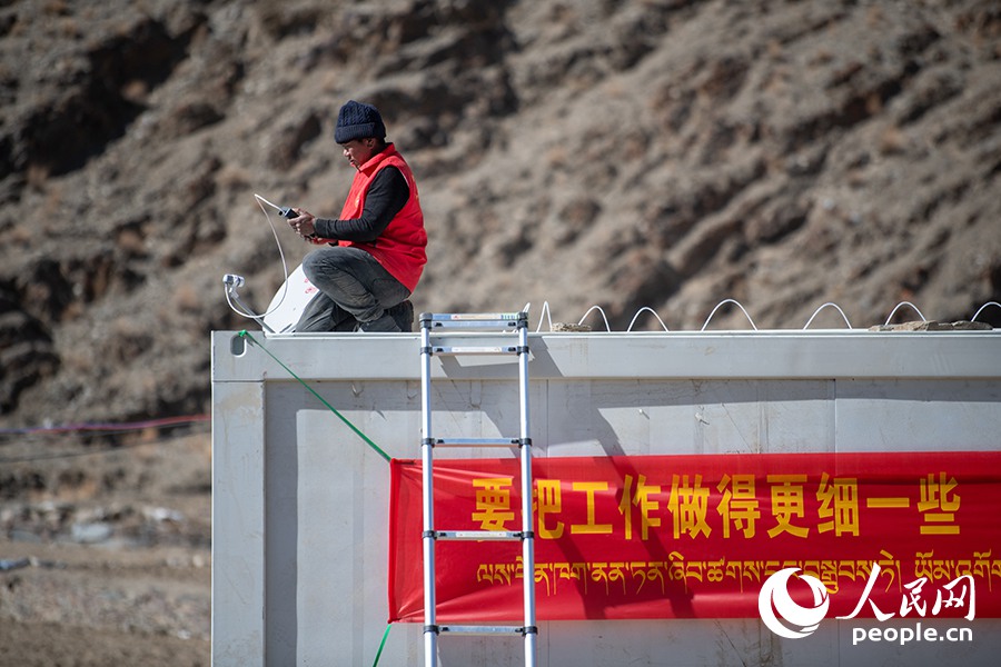 長(zhǎng)所鄉(xiāng)森嘎村村民的牲畜在食用新鮮飼草。人民網(wǎng)記者 郝潔攝