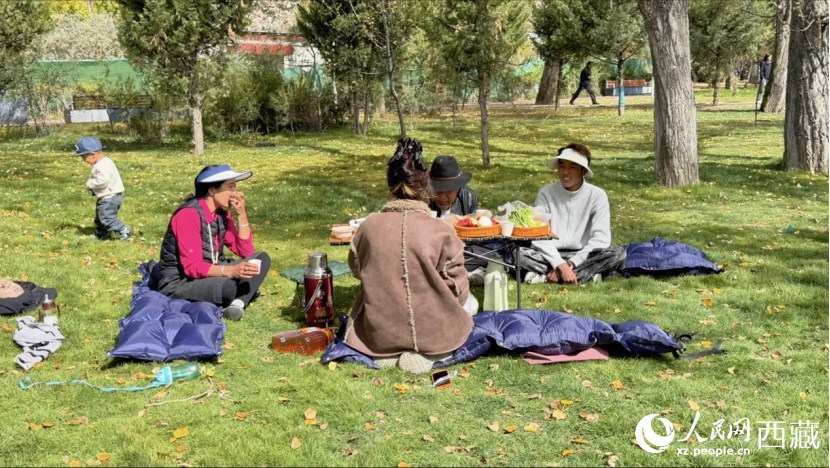 圖為市民在公園內(nèi)聚會(huì)。人民網(wǎng)記者 次仁羅布攝
