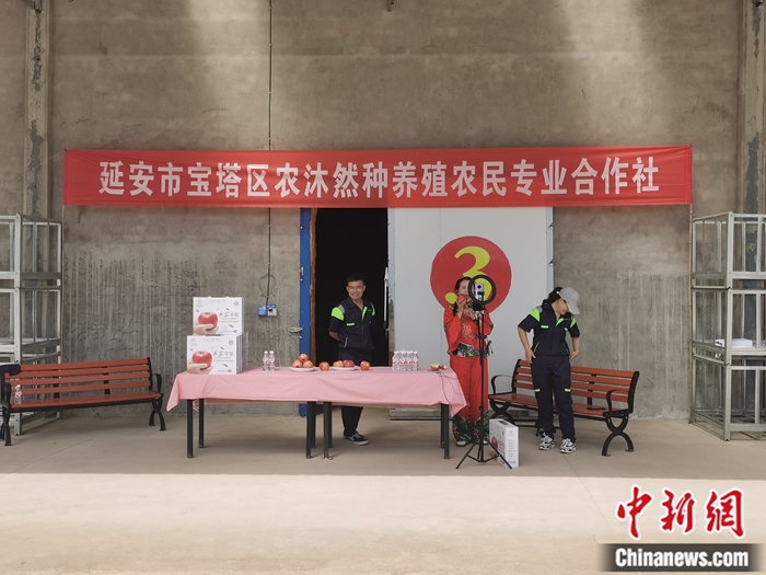 來源：柳林鎮(zhèn)果技園供圖。