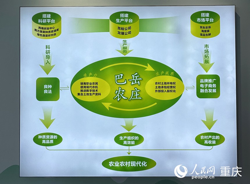 “巴岳農(nóng)莊”運作示意圖。人民網(wǎng)記者 劉政寧攝